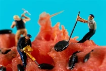 Ngỡ ngàng với vẻ đẹp của nghệ thuật sắp đặt (2) 