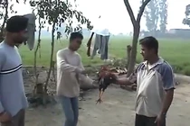 Anh nông dân giả tiếng động vật quá siêu