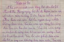 Tranh cãi bài văn tả “nhà em có nuôi một ông bố lười” 