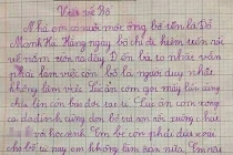 Tranh cãi bài văn tả “nhà em có nuôi một ông bố lười” 