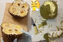 1001 pha bổ sầu riêng khiến netizen ngao ngán