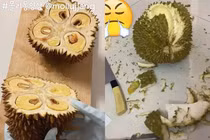 1001 pha bổ sầu riêng khiến netizen ngao ngán