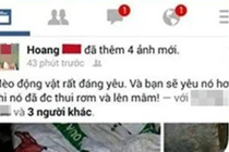 Thanh niên khoe ảnh giết thịt chó mèo gây tranh cãi 