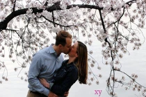 Hoa anh đào nở rộ thu hút các cặp tình nhân 