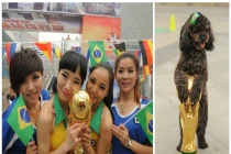 Rộ mốt tự sướng cùng Cup vàng World Cup