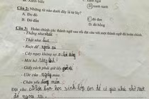 Học sinh tiểu học tự chế thành ngữ, cô giáo "đứng hình" đăng Facebook