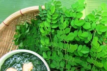 Những loại rau cực bổ nhưng mẹ bầu tuyệt đối không được động đũa kẻo