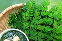 Những loại rau cực bổ nhưng mẹ bầu tuyệt đối không được động đũa kẻo