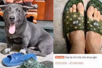 Được idol Nguyễn Văn Dúi cắn, thứ đồ này bất ngờ được bán giá cao