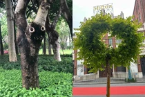 Những khoảnh khắc thiên nhiên kì lạ đến khó tin