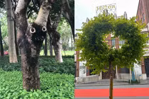 Những khoảnh khắc thiên nhiên kì lạ đến khó tin