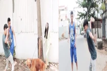 Phở đã “chất” lại khiến dân mạng thích thú