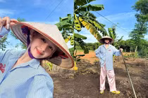 Xoài Non hóa cô thôn nữ về quê chữa lành 