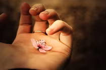 3 điểm trên cơ thể làm thay đổi “ngoạn mục” vận mệnh 