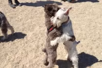 Ảnh cười Facebook: Bạn thân lâu ngày gặp lại