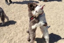 Ảnh cười Facebook: Bạn thân lâu ngày gặp lại