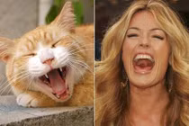 Sự giống nhau đến phì cười giữa sao và mèo