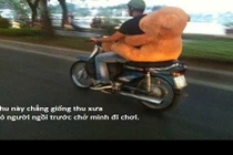 Ảnh chế “bất hủ như liễu rủ” của cư dân mạng