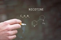 Nicotine trong thuốc lá có tác hại làm giảm khả năng học tập