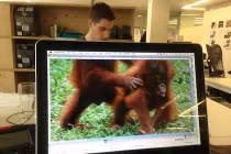 Cười thả ga với màn tạo dáng hình cùng desktop (1)