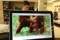 Cười thả ga với màn tạo dáng hình cùng desktop (1)