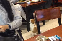 Bất ngờ với "gương mặt vàng trong làng ăn xin” cực yêu vì hành động này