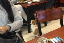 Bất ngờ với "gương mặt vàng trong làng ăn xin” cực yêu vì hành động này