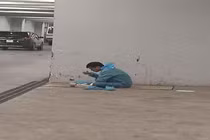 Rớt nước mắt bữa cơm vội của tài xế lái xe cách ly dịch Covid-19