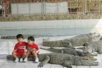 Ảnh độc chỉ có ở châu Á: Chụp ảnh cùng thú cưng