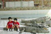 Ảnh độc chỉ có ở châu Á: Chụp ảnh cùng thú cưng