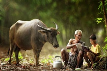 Mê mẩn bộ ảnh làng quê Indonesia đậm chất Việt Nam (2)