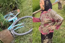 Tin vào tai lái của bạn, cụ bà chỉ biết bất lực than trời