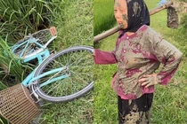 Tin vào tai lái của bạn, cụ bà chỉ biết bất lực than trời