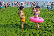 Khách du lịch TQ đổ xô đến bãi biển tảo xanh