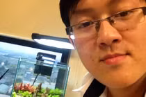 Thú chơi tép thủy sinh màu sắc hút bạn trẻ Hà thành