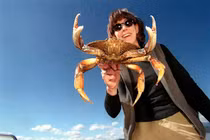 Loài chuyên vùi mình trong cát, người Việt mê mẩn, giá tiền triệu/kg vẫn hút khách