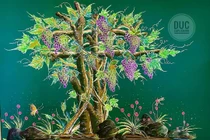 Trầm trồ trước những bức tranh phấn trắng bảng đen cực phẩm