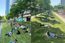 Netizen nể phục người thiết kế ra bãi cỏ cực đặc biệt