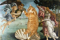 Cười ngất với mèo làm mẫu chính trong tranh phục hưng