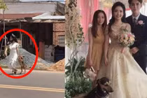 Chú rể tá hỏa khi cô dâu "mất tích", hóa ra là đi tìm nhân vật này