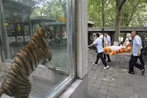 Bật cười với những hình ảnh không thể giải thích