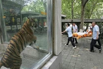 Bật cười với những hình ảnh không thể giải thích