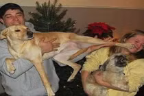 Cười đau ruột với hình ảnh động vật "chơi khăm" người