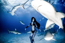 Siêu mẫu xinh đẹp diện bikini khiêu vũ với cá mập hổ