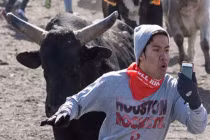 Cười ngất với màn "tự sướng" trong mọi hoàn cảnh 