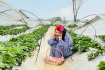 Mặc đồ “bệnh nhân” chạy tung tăng khắp phố, cô gái gây sốt MXH