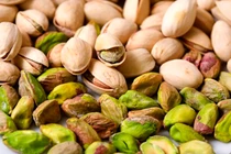 Cây sống 300 năm, hạt khi chín “tự bật cười”, quý như vàng 