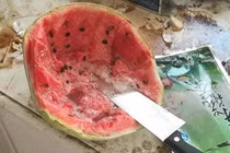 Góc ở bẩn: mọc nấm trên gối, đồ ăn mốc xanh mốc đỏ