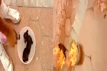 Phẫn nộ nhóm thanh niên thiêu sống chú cún con