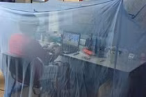 Ảnh cười Facebook: Muỗi cũng phải "phát khóc"